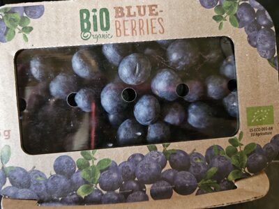 blueberries bio organic