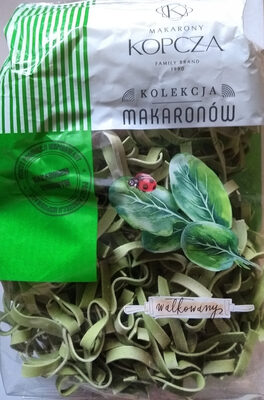 makaron ze szpinakiem makarony kopcza