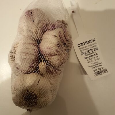 Czosnek Violetta Vega Garliczka