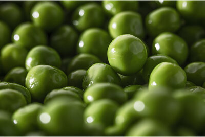 Touche de Petits pois Bonduelle